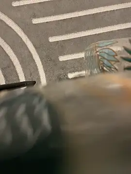 dimitriei online show from 15, 11, 2025