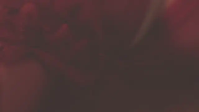 Snapshot of oxiris_1 chatting on 16, 1, 2025 oxiris 1 online show from 16, 1, 2025