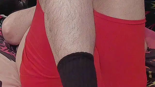 Dominant BEAR online show from 26, 11, 2025