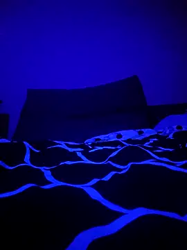 McdyllanXX online show from 11, 1, 2025