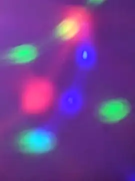 McdyllanXX online show from 14, 10, 2025