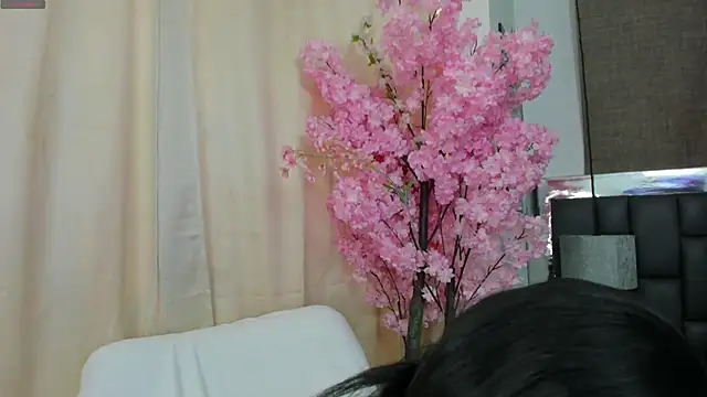  cat 18 online show from 21, 3, 2025