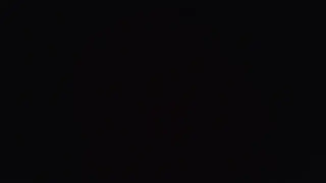 Alisa  walker online show from 24, 11, 2025