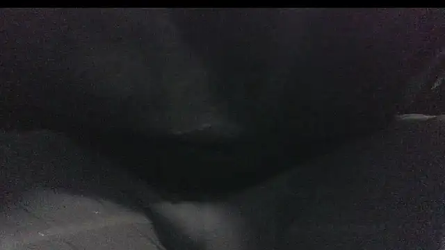 robeaulieu02 online show from 23, 2, 2025