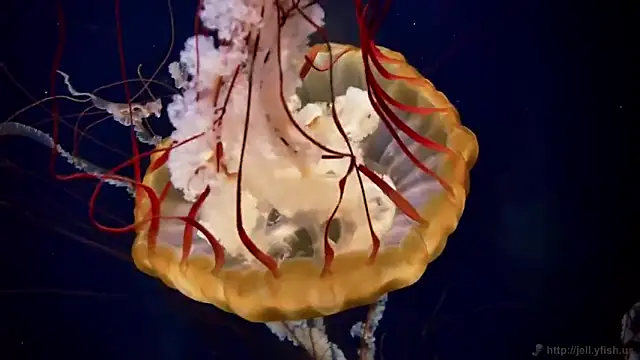 Snapshot of streamy_test13 chatting on 7, 3, 2025 streamy test13 online show from 7, 3, 2025