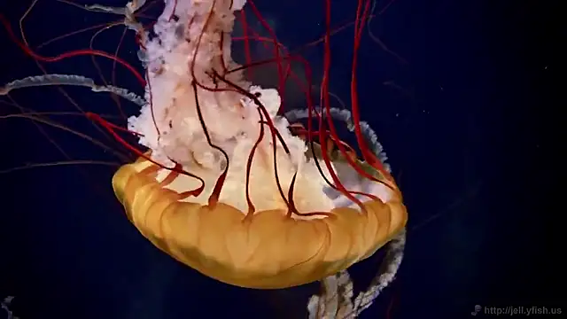 Snapshot of streamy_test15 chatting on 19, 9, 2025 streamy test15 online show from 19, 9, 2025