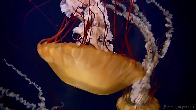 Snapshot of streamy_test15 chatting on 2, 2, 2026 streamy test15 online show from 2, 2, 2026