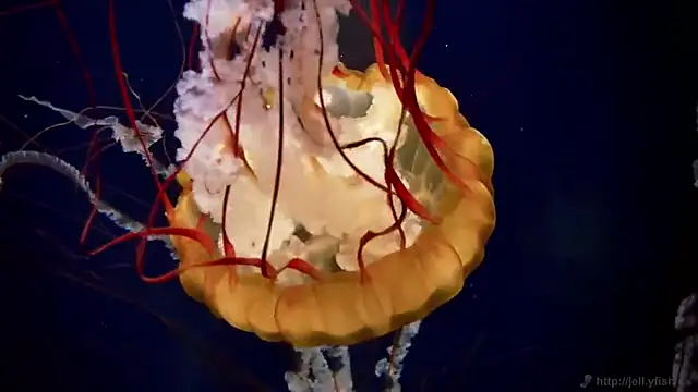 Snapshot of streamy_test15 chatting on 4, 2, 2026 streamy test15 online show from 4, 2, 2026