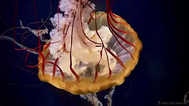 Snapshot of streamy_test15 chatting on 12, 2, 2026 streamy test15 online show from 12, 2, 2026