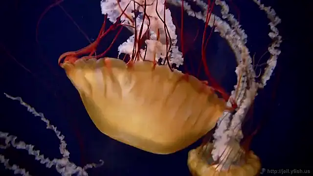 Snapshot of streamy_test15 chatting on 16, 2, 2026 streamy test15 online show from 16, 2, 2026