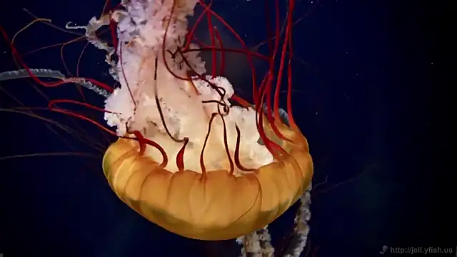 Snapshot of streamy_test15 chatting on 18, 2, 2026 streamy test15 online show from 18, 2, 2026