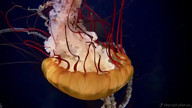 Snapshot of streamy_test15 chatting on 27, 2, 2026 streamy test15 online show from 27, 2, 2026