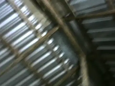 michel sc online show from 5, 10, 2025