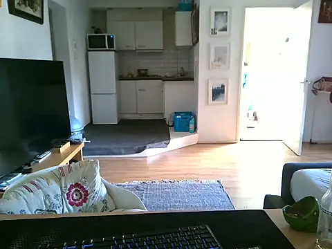 mihaimichael online show from 29, 4, 2026