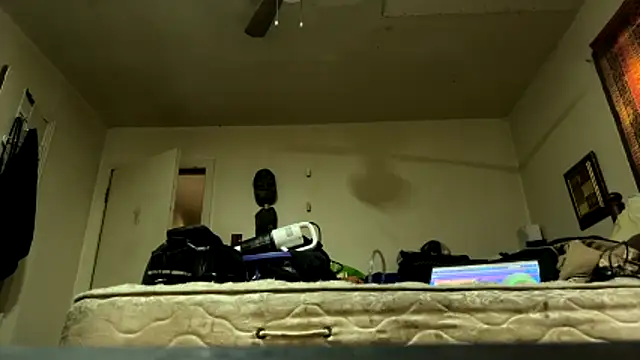 pipeload1275 online show from 27, 4, 2026