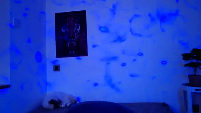 ValeryCrowley14 online show from 15, 1, 2026