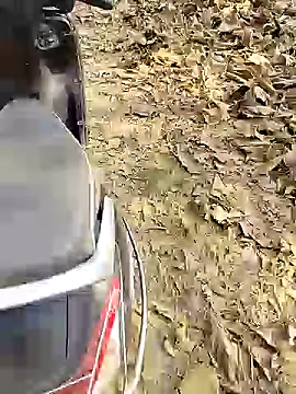 88karan88 online show from 25, 12, 2024