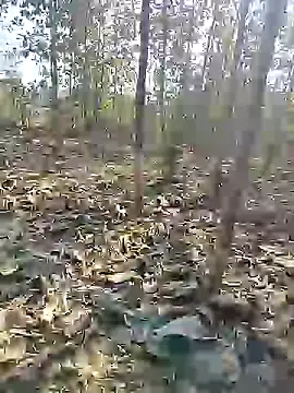 88karan88 online show from 27, 12, 2024