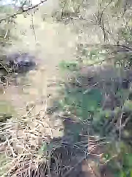 88karan88 online show from 25, 1, 2025