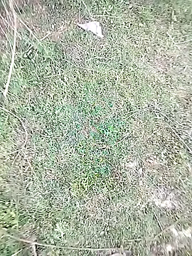 88karan88 online show from 23, 2, 2025