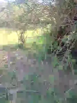 88karan88 online show from 27, 2, 2025