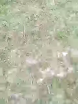 88karan88 online show from 27, 2, 2025