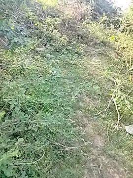 88karan88 online show from 4, 3, 2025