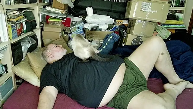 hadeszeuss2 online show from 10, 2, 2025