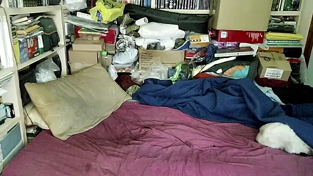 hadeszeuss2 online show from 28, 2, 2025