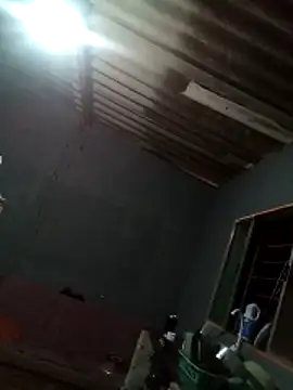 Japohzl2 online show from 8, 11, 2025