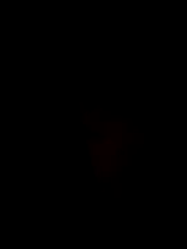 Ner0924 N online show from 2, 12, 2024