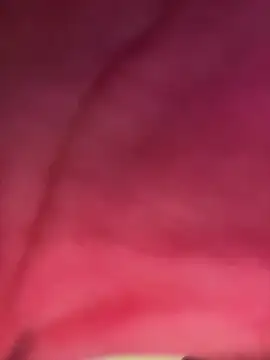 izanmiller2001 online show from 8, 10, 2025