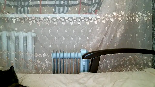 Snapshot of DennisXCaroll chatting on 16, 2, 2025 DennisXCaroll online show from 16, 2, 2025