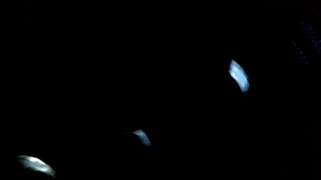 Antoniothedon online show from 16, 1, 2025