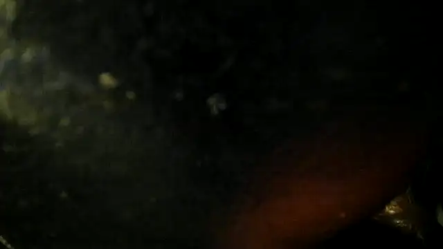 leatherz69 online show from 22, 5, 2026