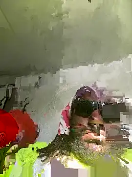 saddlewalker35 online show from 23, 3, 2026