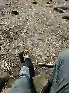 Snapshot of murokkk31 chatting on 3, 12, 2024 murokkk31 online show from 3, 12, 2024