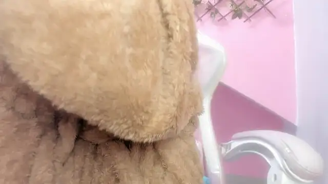 meribeth303av online show from 22, 12, 2024