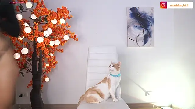 VictoriaHiill online show from 9, 1, 2026