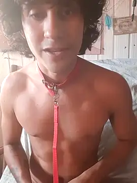 pedrodavid  online show from 6, 5, 2026