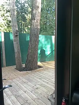 twist699 online show from 8, 11, 2025