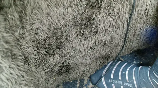 Gigadickman online show from 13, 12, 2024