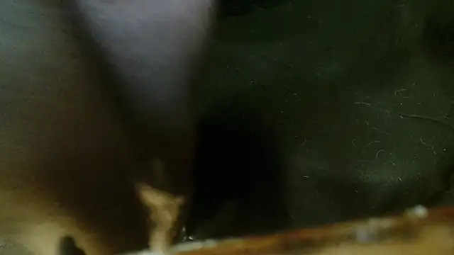 Gigadickman online show from 4, 10, 2025