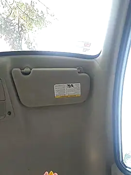 cinnaminnie online show from 22, 2, 2025