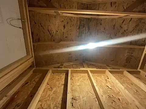 kikiwonderbar online show from 17, 12, 2024