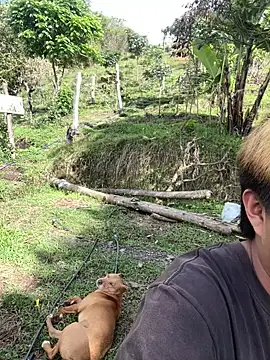 FlpGmz online show from 18, 10, 2025