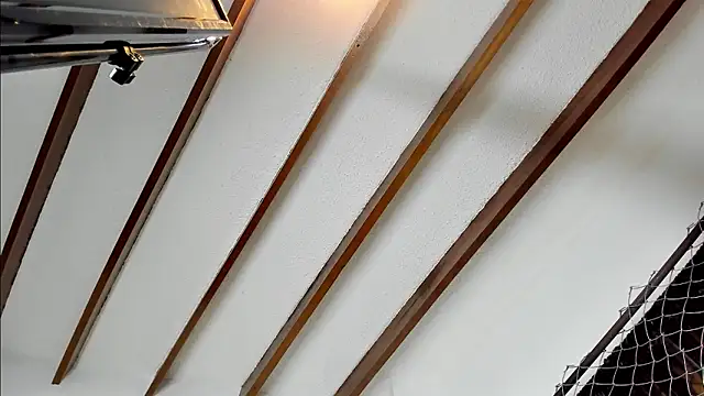 Snapshot of Beard_xox chatting on 4, 12, 2024 Beard xox online show from 4, 12, 2024