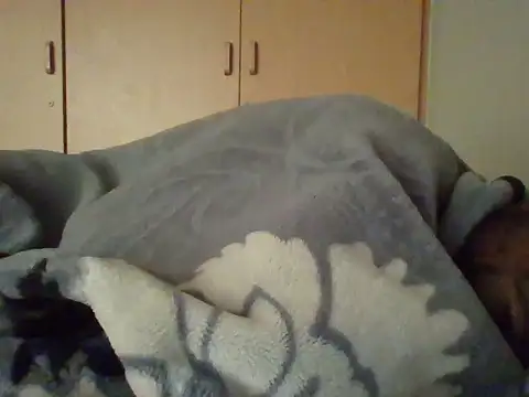 Snapshot of TheeMassageMobileSpa chatting on 20, 2, 2025 TheeMassageMobileSpa online show from 20, 2, 2025