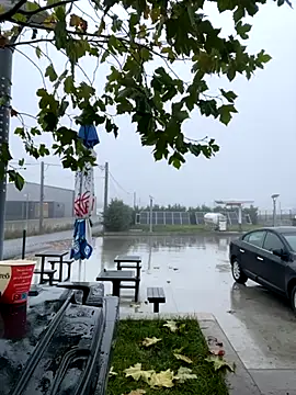 Snapshot of baramadalin chatting on 21, 11, 2025 baramadalin online show from 21, 11, 2025