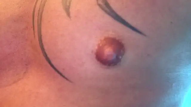 Snapshot of Timbojan28 chatting on 11, 2, 2026 Timbojan28 online show from 11, 2, 2026